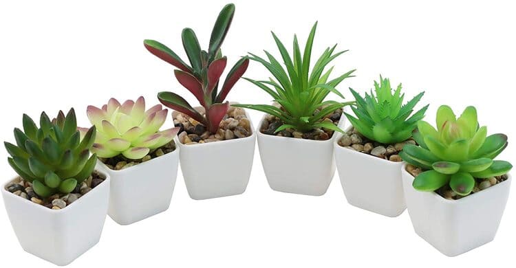 Fake Succulent Plants Artificial Plastic Succulents Potted