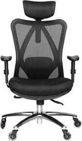 Duramont Ergonomic Office Chair 1