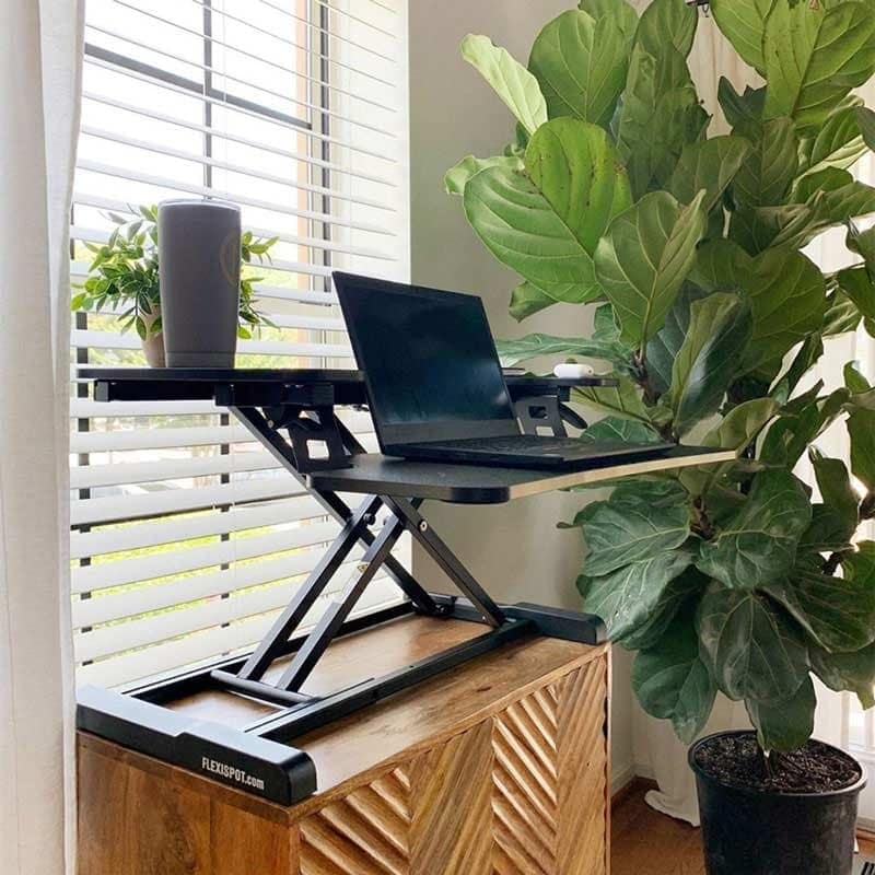 standing desk riser with plant