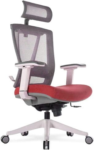 Autonomous Premium 2021 Ergonomic Office Chair