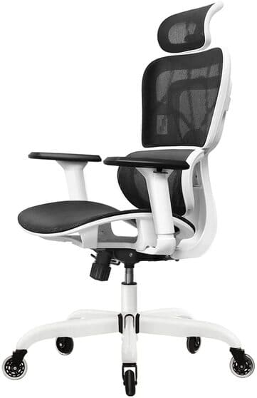 FelixKing Ergonomic Desk Chair with Adjustable Headrest